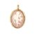 Cammeo Rosa